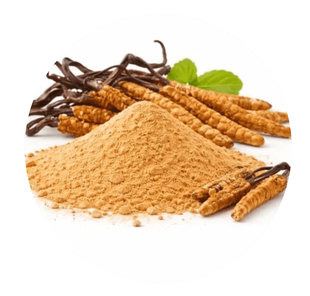 Mindoxa™ Cordyceps Sinensis Powder