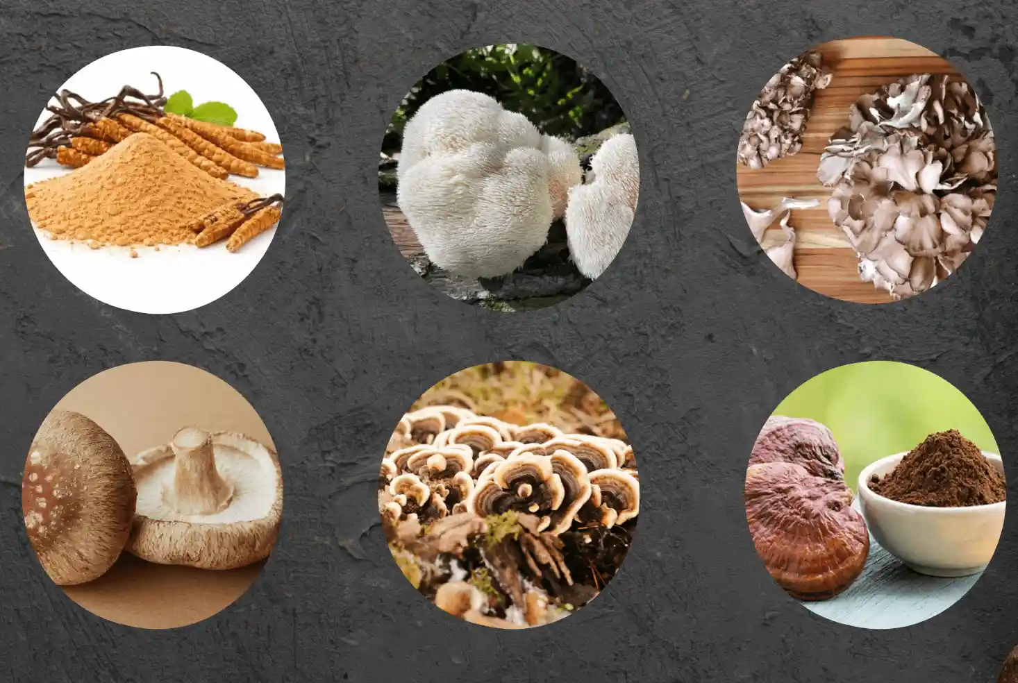 Mindoxa Ingredients Banner